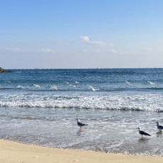 양양바다카페 투어와 그림책 명상 여행(4인이상소그룹만 신청가능)