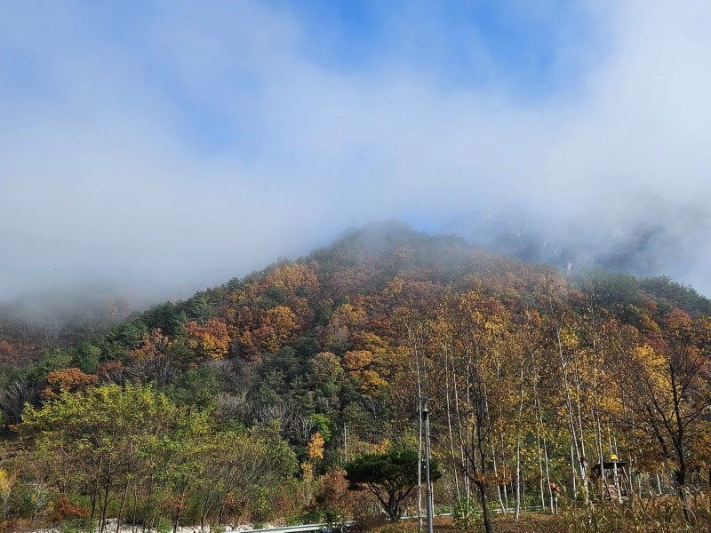 설악산 생태탐방원